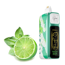 Elf Bar NIC King 30000 Key lime (Лайм)