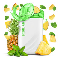 GTMBAR Porter 5000 5% Pineapple Mint (Ананас Мята) Original